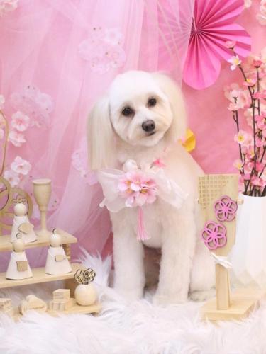 20250308風太郎くん